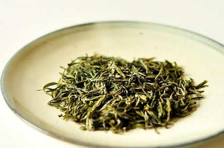 阳羡雪芽属于什么茶？