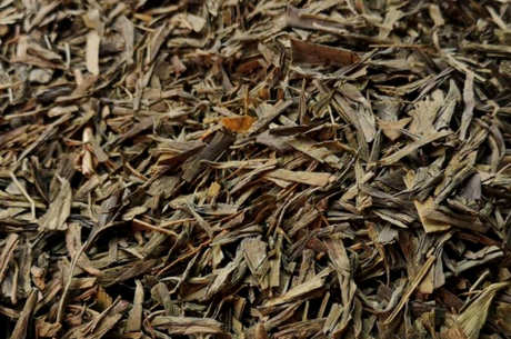 制作银杏茶的方法