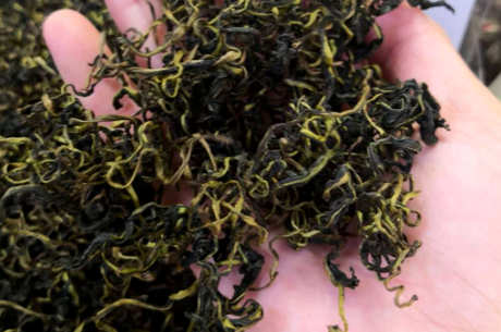 蒲公英茶的制作方法步骤