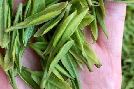 空山茶在哪里？