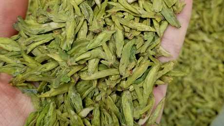 一级茶和特级茶的区别