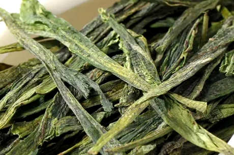 猴魁属于什么茶？