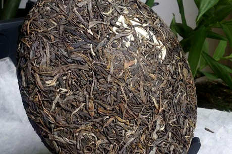 明前古树茶是什么茶？