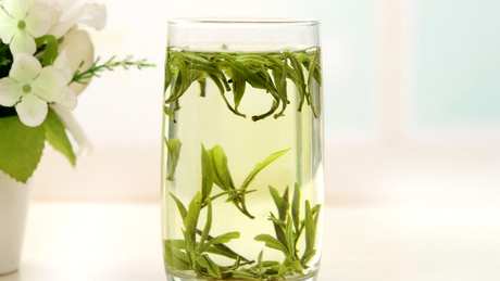 霍山黄芽属于什么茶？