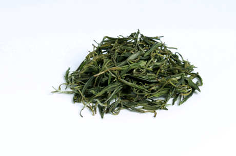 霍山黄芽属于什么茶？