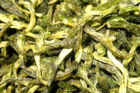 为什么毫茶叫毫茶？