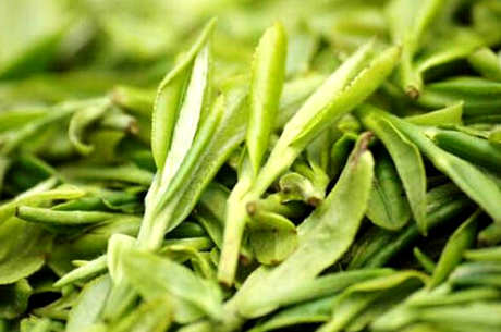 龙井茶的特点是什么？