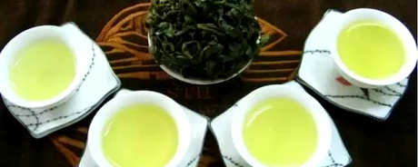 什么茶属于普陀佛茶？