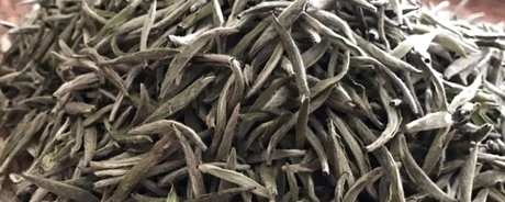 银针茶是绿茶吗？