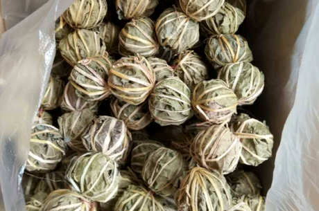 鹧鸪茶过夜能喝吗？