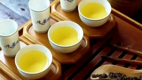 乌龙茶属于什么茶性？