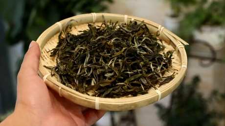 冰岛茶特点