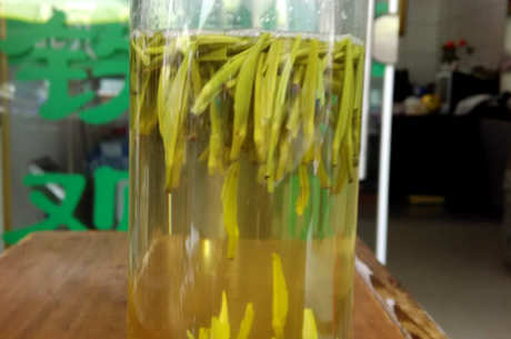 雀舌与竹叶青的区别