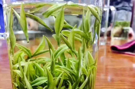 茶泡不开怎么了？