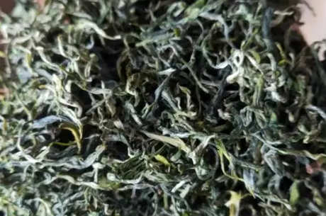 野茶有哪些种类？