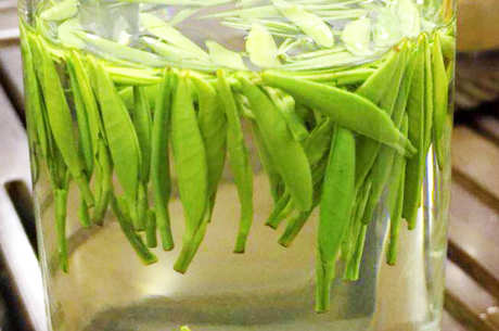 蒙顶石花和雀舌的区别