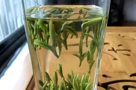 什么茶属于毛峰猴魁？