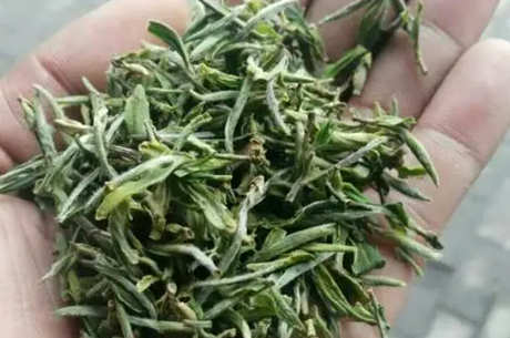 什么茶属于毛峰猴魁？