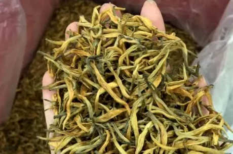什么是半曲茶？
