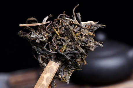 古树茶属于什么茶种？