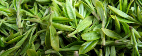 茅山青峰是绿茶吗？