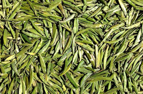 茅山青峰与雀舌的区别