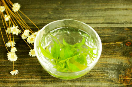 苦丁是绿茶吗？