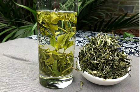 什么茶是普洱雪芽？