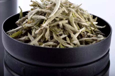 野生雪芽是什么茶？