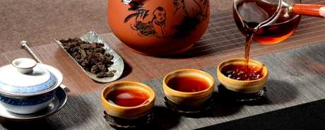 哪一种属于发酵茶？