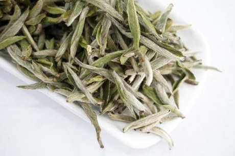哪一种属于发酵茶？
