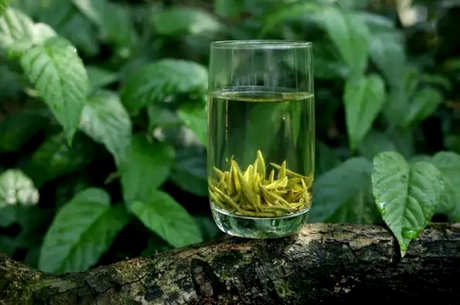 重庆有哪些名茶？