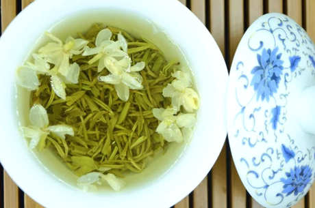 天山绿茶产于哪里？