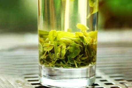 天山绿茶产于哪里？