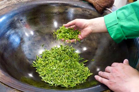 西湖龙井是绿茶还是红茶