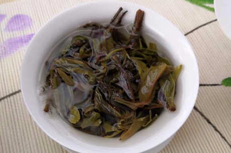 普洱茶属于红茶还是绿茶