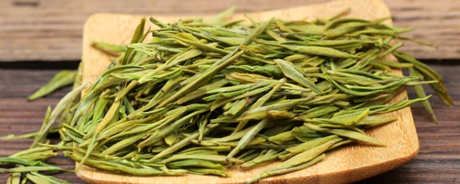 黄金芽茶是什么茶？