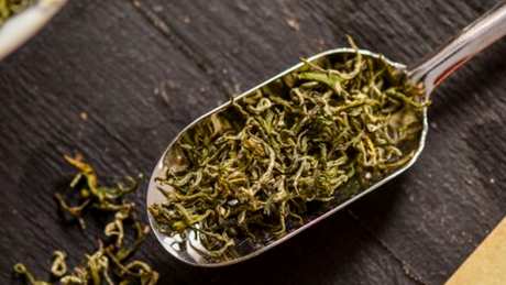 阳羡雪芽是什么茶？