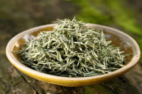 阳羡雪芽是什么茶？