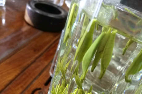 什么是宜兴茶？