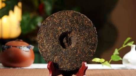 七子饼茶是生茶还是熟茶？