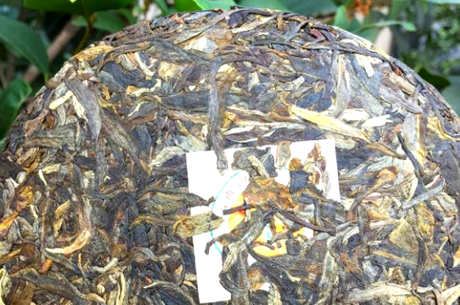 七子饼茶是生茶还是熟茶？