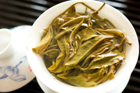 老班章茶的特点