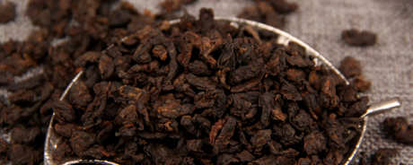 怎样泡老茶头？