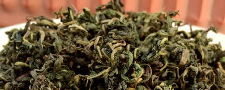蒲公英茶的功效和作用以及禁忌
