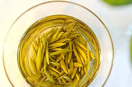 君山银针属于什么茶？