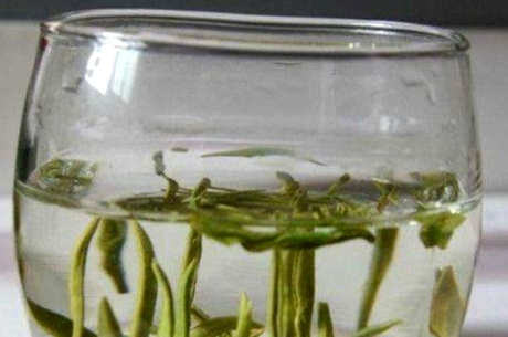 牛抵茶属于什么茶？