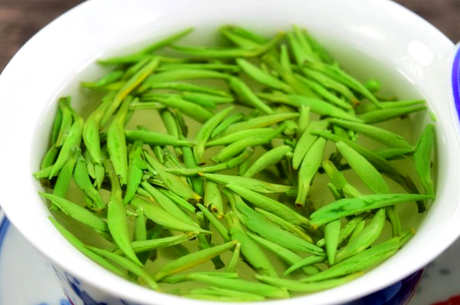 明前毛尖是绿茶吗？
