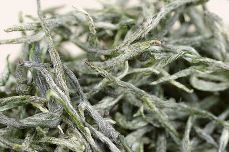 如何判断毛尖是否好
