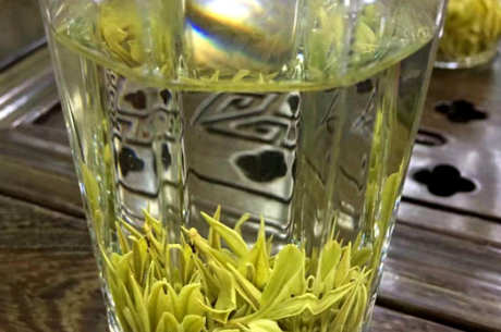 安吉高山茶属于什么茶？